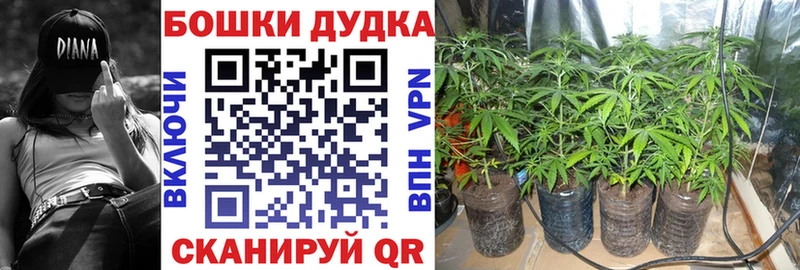 Что такое Липки Alpha PVP  Меф  COCAIN  ГАШ  АМФЕТАМИН  Канабис 