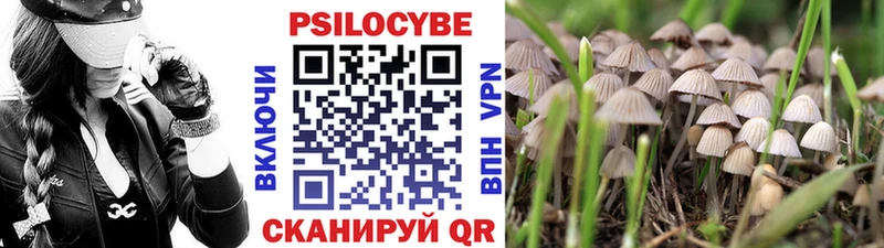 Галлюциногенные грибы Psilocybine cubensis  Липки 
